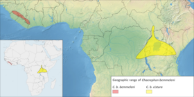 Bản đồ phân bố hai phân loài của C. bemmeleni