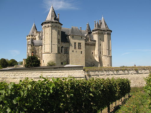 Chateau de Saumur depuis les vignes