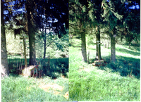 Croix de la Raleine à Sainte Croix-aux-Mines