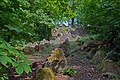 lines of concrete pyramids in woodland (from Surrey)