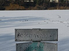 Eisweiher Große Blies bei Ludwigshafen am Rhein-Mundenheim (Februar 2012)