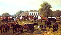 Die Herde von Fenékpuszta, 1884