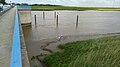 Ostgrenze des FFH-Teilgebietes Grüne Insel mit Eiderwatt an der Eiderbrücke bei Tönning