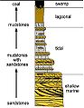 A regressive facies shown on a stratigraphic column