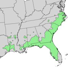 Fraxinus caroliniana range map 3.png