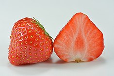 Garden strawberry (Fragaria × ananassa).jpg