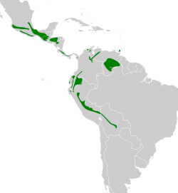 Distribución geográfica del tororoí cholino.