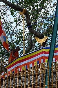 Jayasri Maha Bodhiya