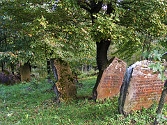 Cementerio judío en Rymanów