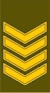 LT-Army-OR7a.gif