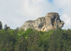 Image illustrative de l’article Lion de Balsièges