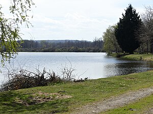 L'étang de la Bastide.