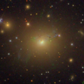 NGC 1275 (SDSS DR14)