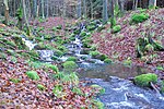 Quellsumpf des Oberbach, NSG Schwarze Berge