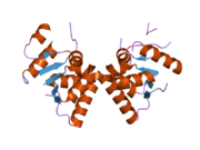 2hwy: ساختار دومِـین PIN در مولکول SMG5 انسان.