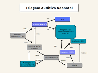 Figura contendo um fluxograma, mostrando as etapas e possíveis exames a serem feitos dentro do programa de triagem auditiva neonatal universal.