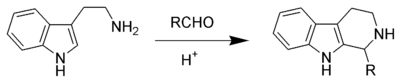 The Pictet-Spengler reaction