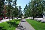 Artikel: Rådhusesplanaden, Umeå