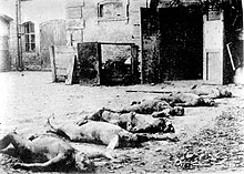 Corpses of people executed by Cheka in 1918 at a yard in Kharkiv, Ukrainian SSR, The Black Book of Communism Red terror 002.jpg