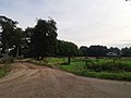 De Roekelse Zandweg, gezien vanaf de Roekelseweg