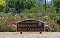 San Jose Heritage Rose Garden