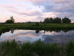 The oxbow lake in Brześce