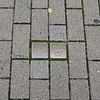 Stolpersteine Stadthagen Bahnhofstraße 22