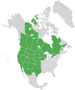 Map of North America with green shading. Data source Brouillet et.al., Flora of North America.[3]