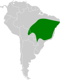 Distribución geográfica del batará alirrufo.