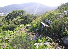 Tygerberg Nature Reserve - Grandurbo de Kab-urbo 5.jpg