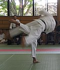 Miniatura para Uchi mata