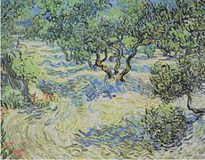 Oliviers Vincent van Gogh, juin 1889 .