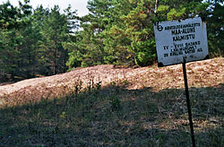 Site of 15th-century cemetery in Vintri