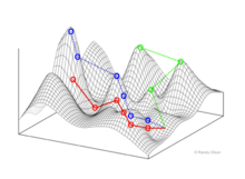 Visualization of two dimensions of a NK fitness landscape. The arrows represent various mutational paths that the population could follow while evolving on the fitness landscape. Visualization of two dimensions of a NK fitness landscape.png