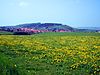 Blick von Südosten über Benzingerode hinweg zum Austberg mit dem Austbergturm