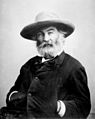 Walt Whitman by Mathew Brady.jpg