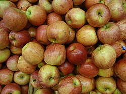 Photograph of a bunch of Royal Gala Apples from Chile