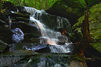 A waterfall casading over steps of rocks with mossy rocks nearby