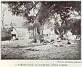 Market at Bathurst (now Banjul) in 1910