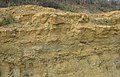 Vue des argiles du talus de la déviation