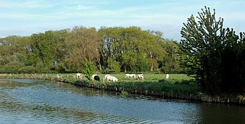 Le Canal de Bourbourg