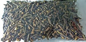 English: dried Cloves (Syzygium aromaticum, sy...