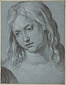 Head of the Infant Jesus, brush in grey and black, grey wash and highlights in tempera, 27.3 x 21 cm, Albertina (3106)