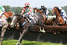 Cochrane condemns current practices in horse racing. He notes that the UK industry spends only PS250,000 a year caring for retired animals, a sum he calls "pathetic", given the horses' interest in life and avoiding suffering and the profits the industry commands. Deauville-Clairefontaine obstacle 2.jpg