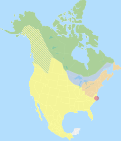 Distribuição do lobo-oriental em azul.