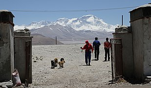 Snowleopard Guest House