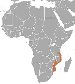 Distribución del gálago de Grant