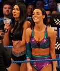 Miniatura para The IIconics