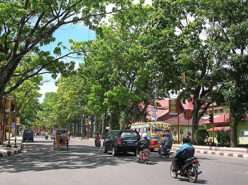 Berkas:Jalan Jendral Sudirman Bukittinggi.JPG