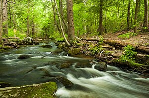 Mad River, Wolcott, Connecticut.jpg